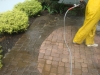 paver-cleaning
