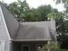 roof-cleaning-before